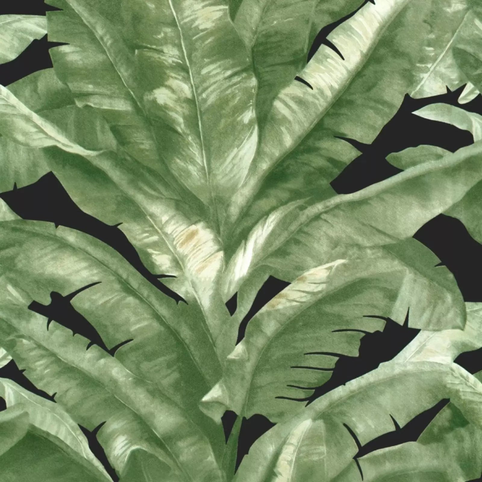 Tropical Green & Black Palm Leaf Floral Jungle Wallpaper TR5200