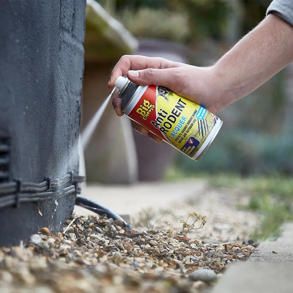 The Big Cheese Anti Rodent Lacquer Aerosol - 300ml