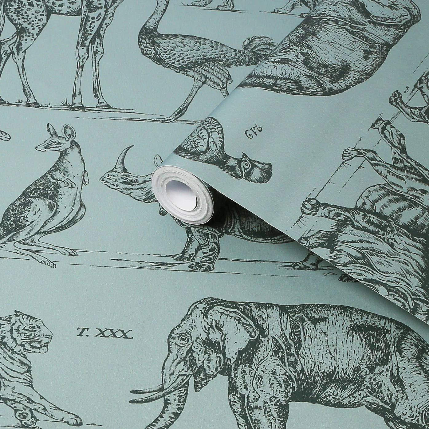 Graham & Brown Zoology Animals Wallpaper 117806