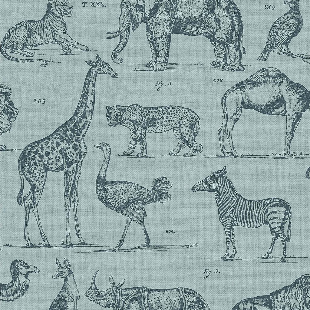 Graham & Brown Zoology Animals Wallpaper 117806