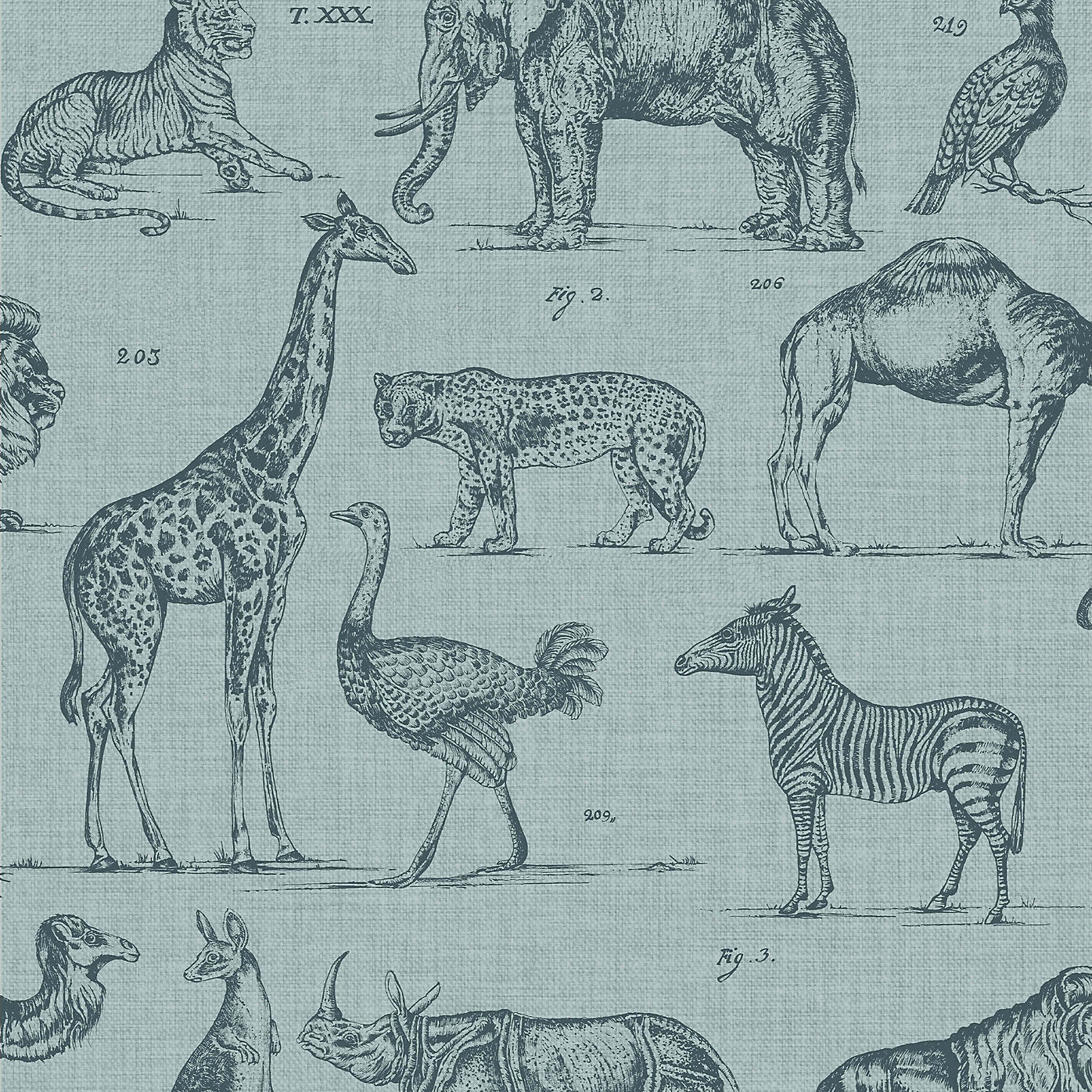 Graham & Brown Zoology Animals Wallpaper 117806