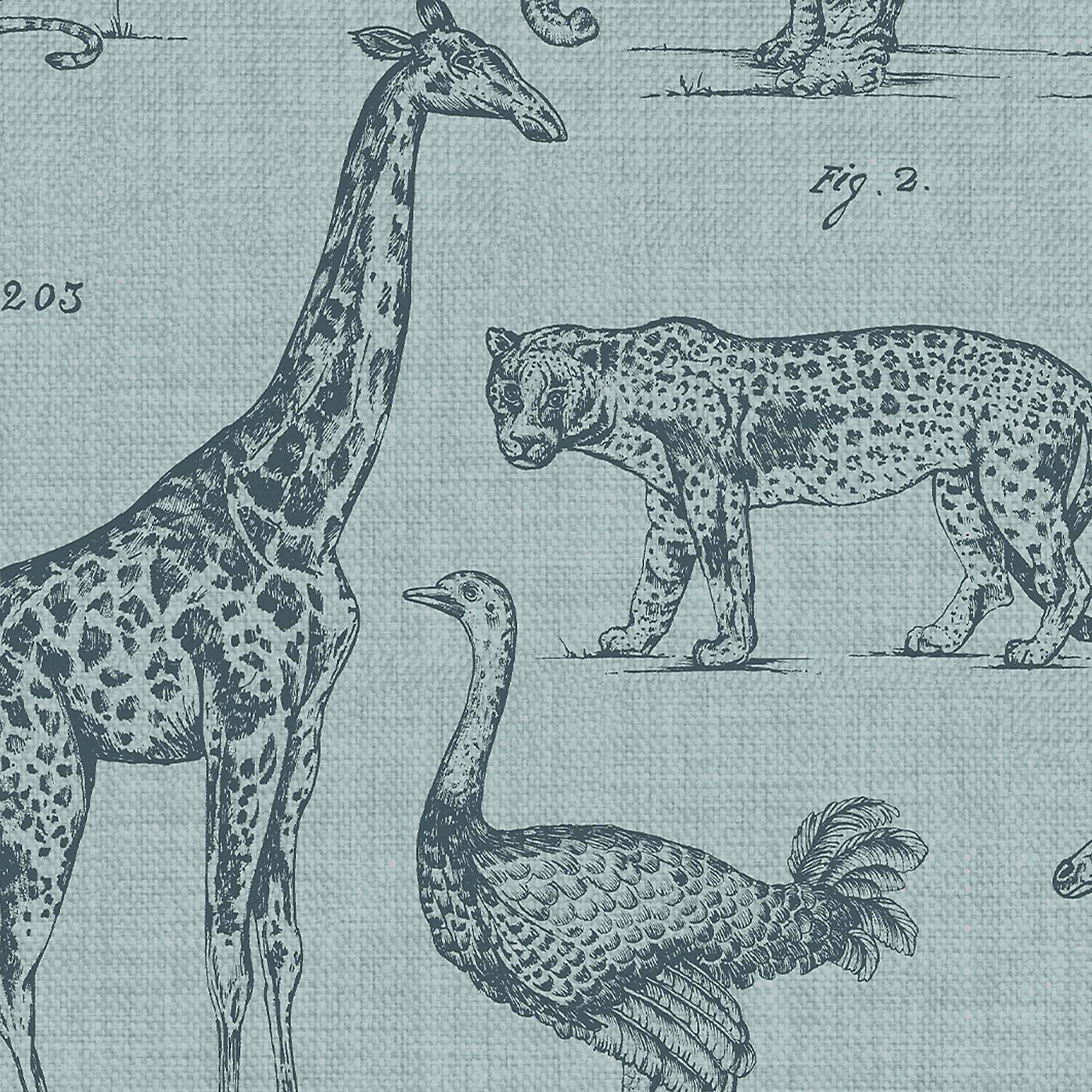 Graham & Brown Zoology Animals Wallpaper 117806