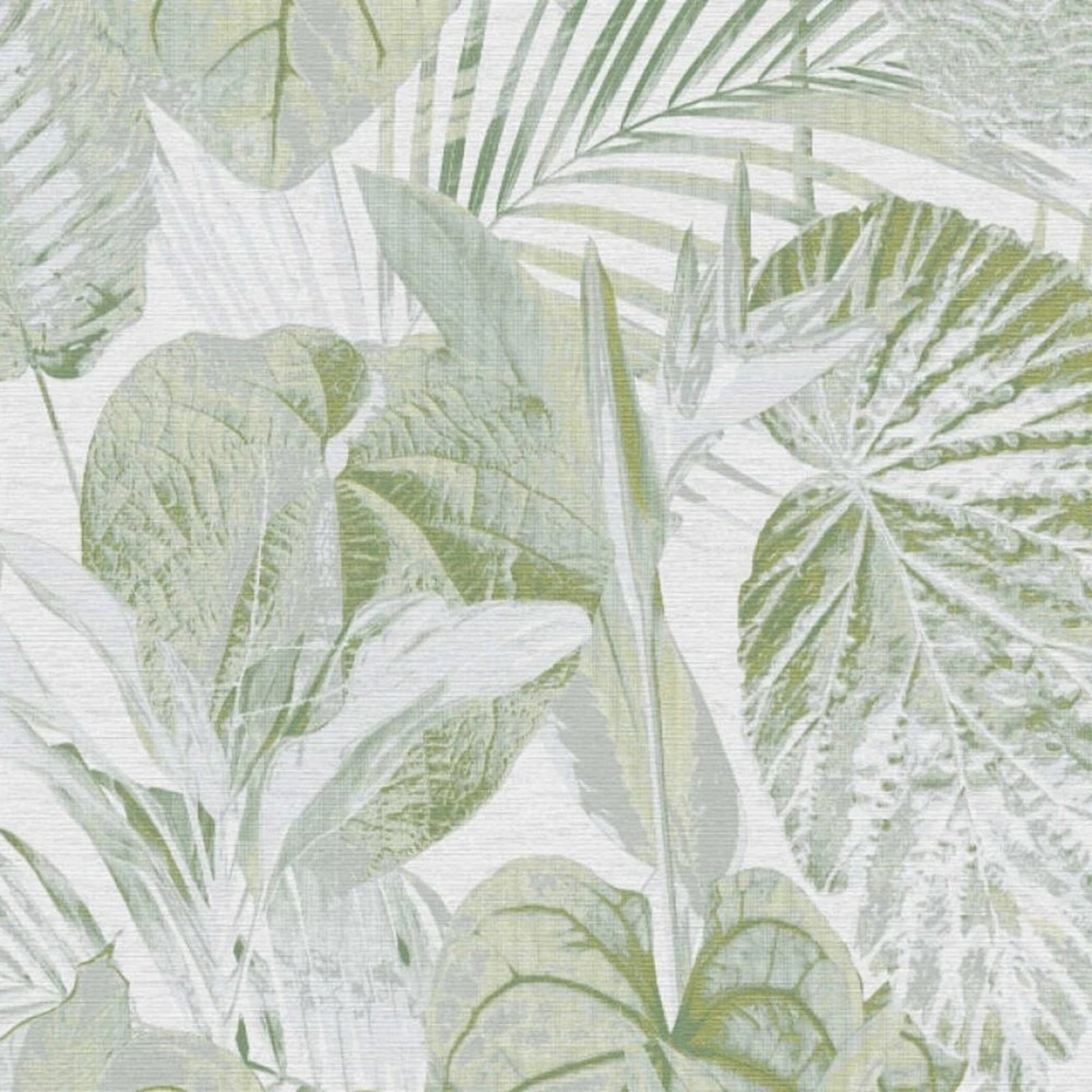 AS Creation Famous Garden Green Palm Leaf Tropical Leaf Floral Wallpaper 39355-4