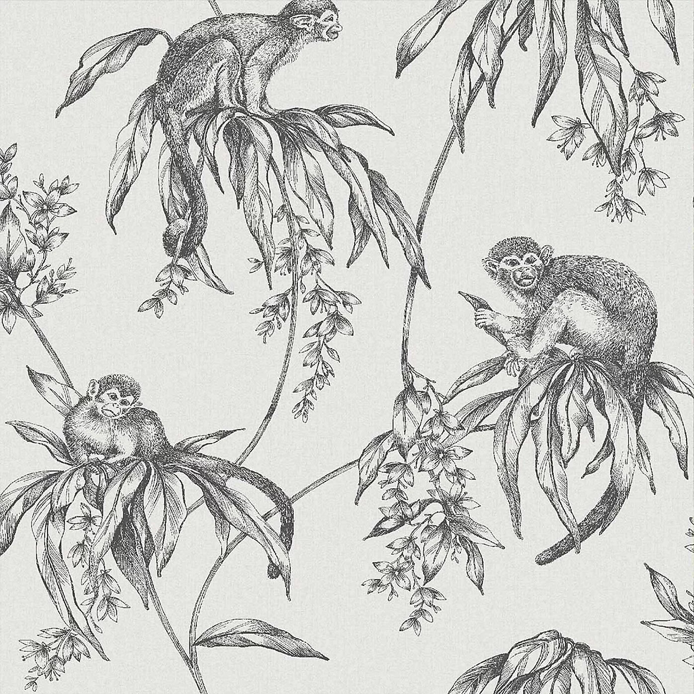 Superfresco Saimiri Anthracite Grey Monkey Wallpaper 106157