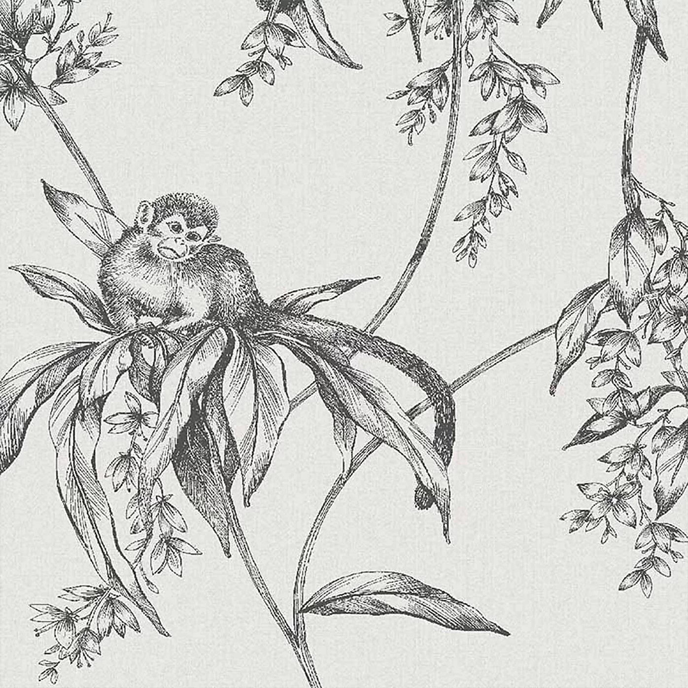 Superfresco Saimiri Anthracite Grey Monkey Wallpaper 106157